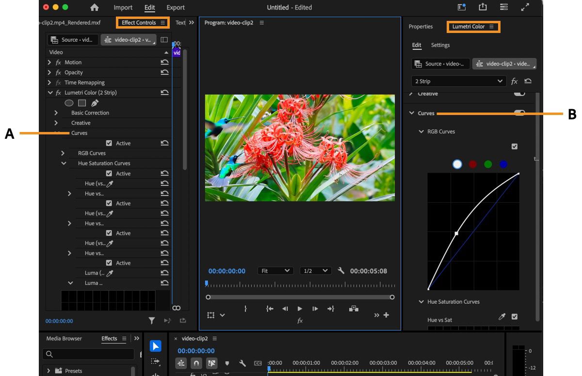 Una imagen general que destaca los elementos de la interfaz de uso que se pueden utilizar para ajustar las curvas RGB.Se destacan dos paneles y configuraciones: los paneles Effect Controls y Lumetri Color.