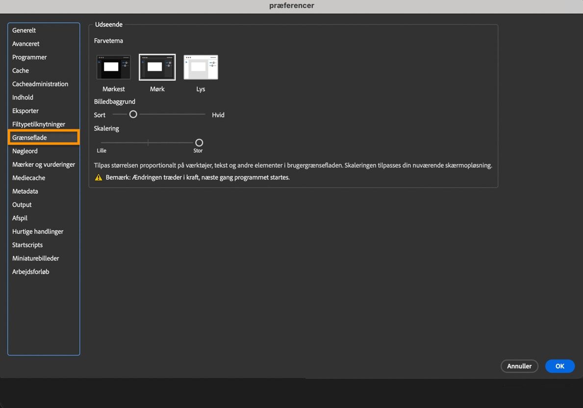 Dialogboksen Grænsefladeindstillinger vises med muligheder til at vælge farvetema, billedbaggrund og mere.
