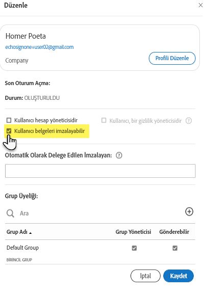 Hesap düzeyinde yönetici