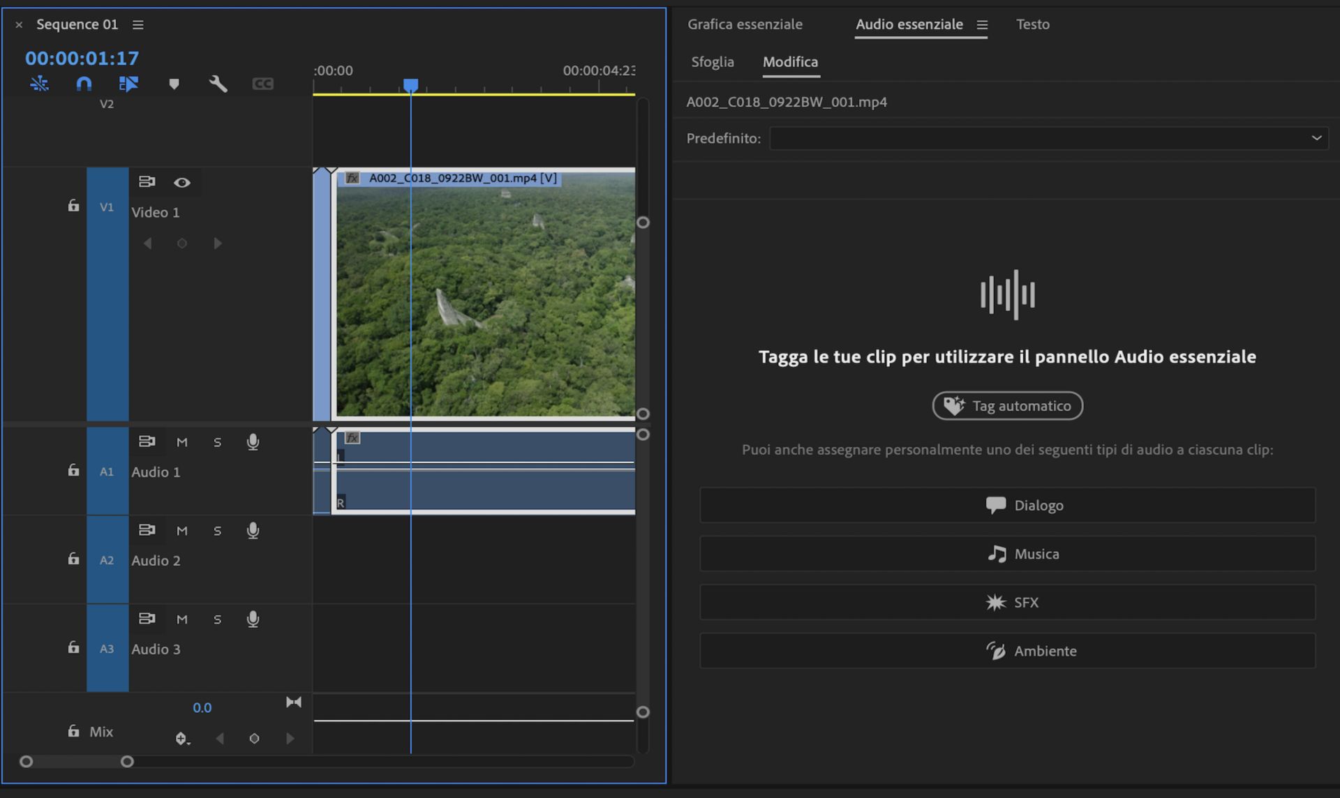 Interfaccia utente che mostra il pannello Audio essenziale con la funzione di assegnazione automatica tag evidenziata.