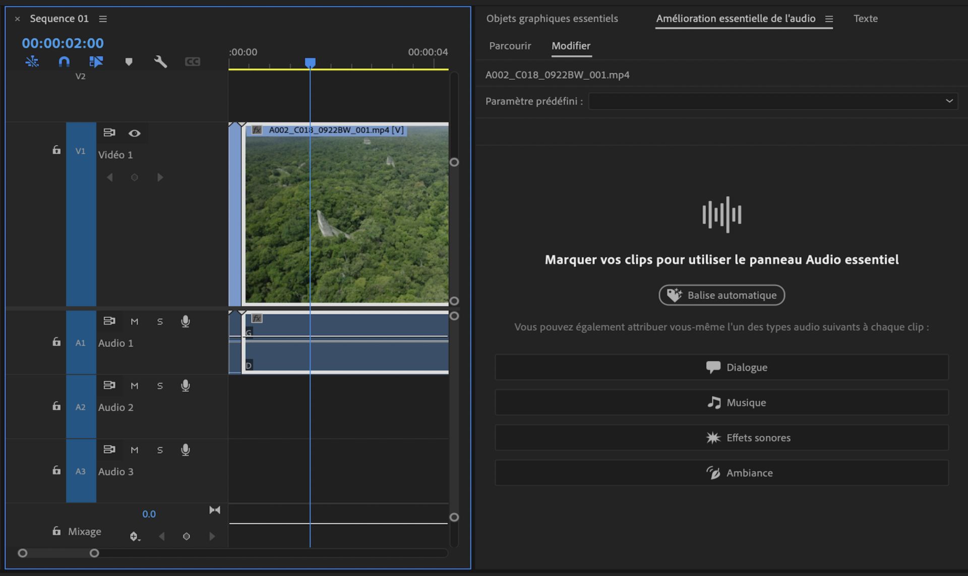 Interface utilisateur affichant le panneau Audio essentiel, avec la fonctionnalité de balisage automatique mise en évidence.