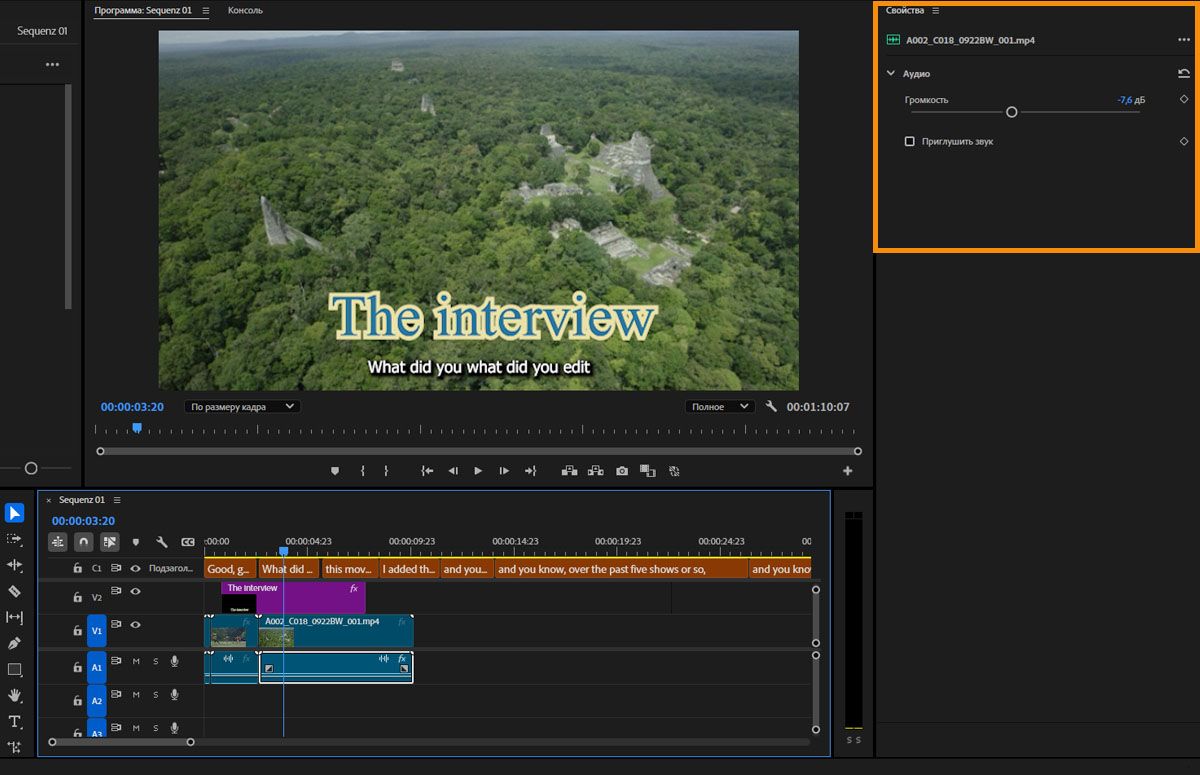 Редактируйте аудио своего видео с помощью параметров, указанных на панели «Свойства».
