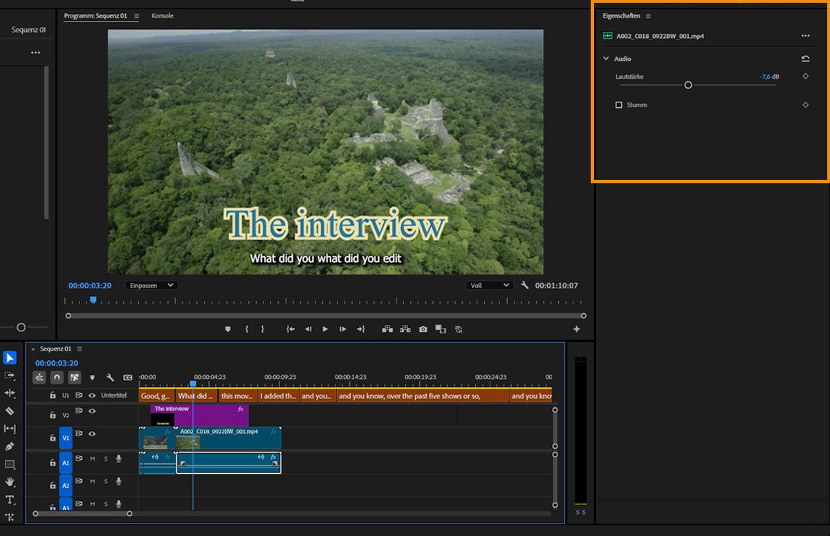 Bearbeite die Audioinhalte deines Videos anhand der Optionen im Bedienfeld „Eigenschaften“.