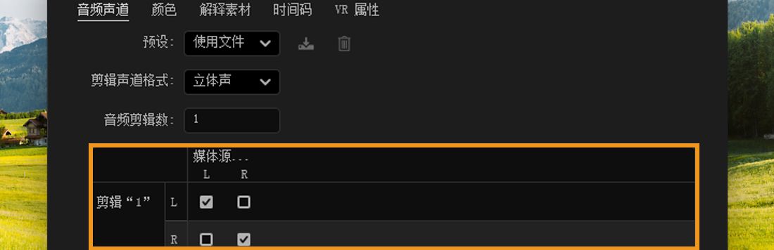 音频声道对话框显示剪辑声道已映射到左右源声道。