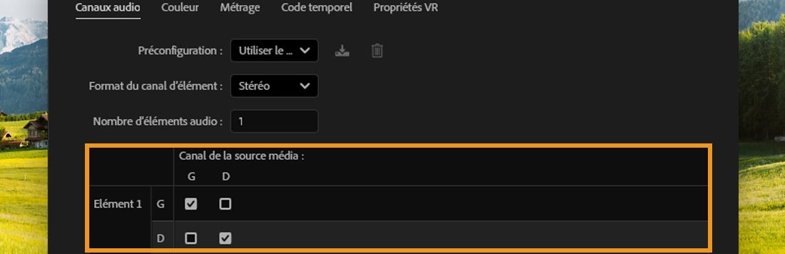 Boîte de dialogue Canaux audio montrant les canaux du clip mappés aux canaux source gauche et droit.