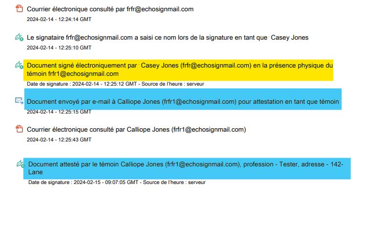 Le rapport d’audit indiquant que le signataire a besoin d’un témoin, avec l’activité du témoin, sa profession et son adresse.