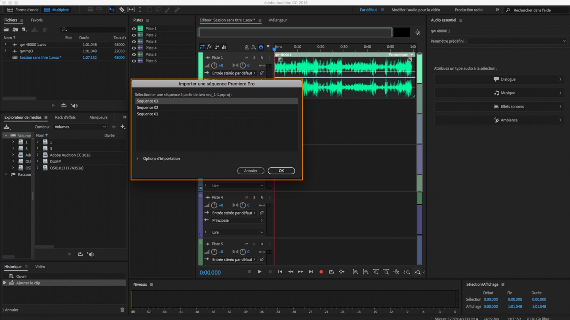 Importation d une séquence Adobe Premiere Pro