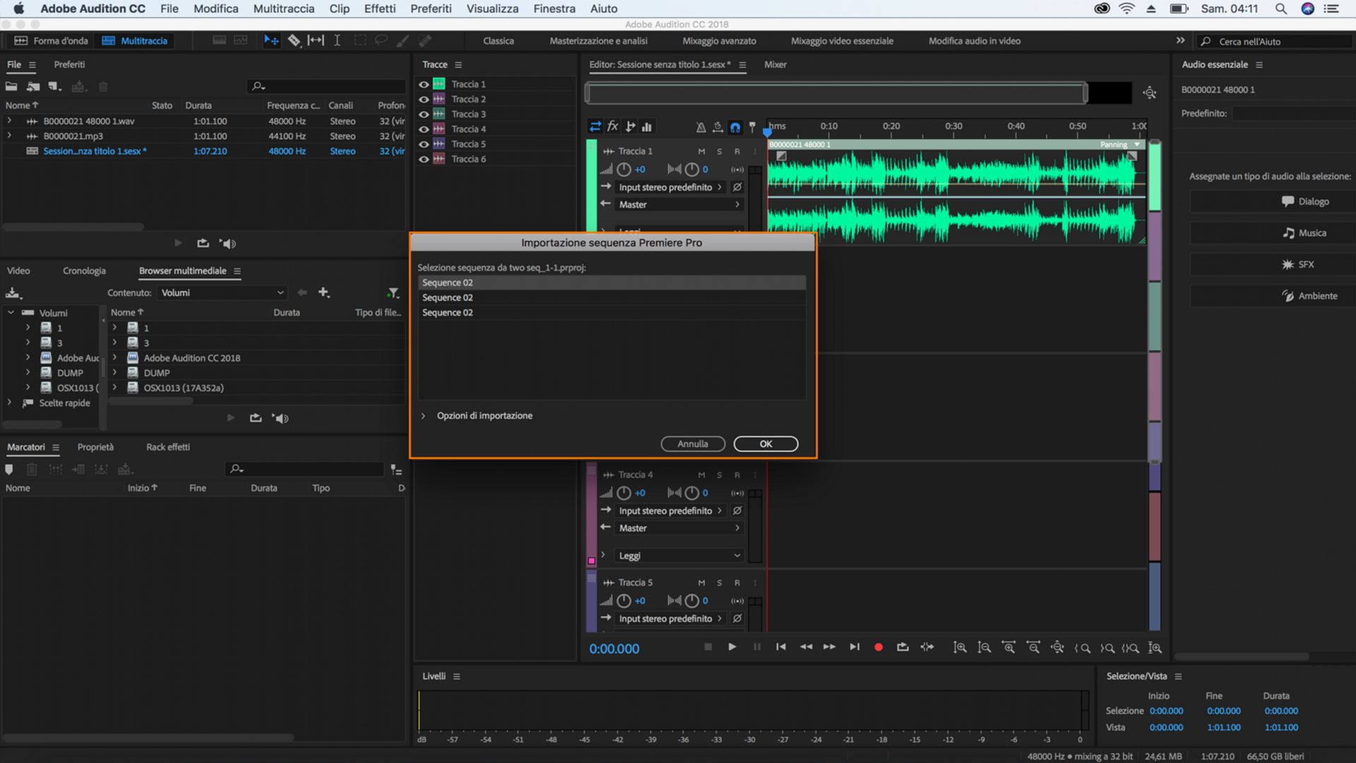 Importare una sequenza Adobe Premiere Pro