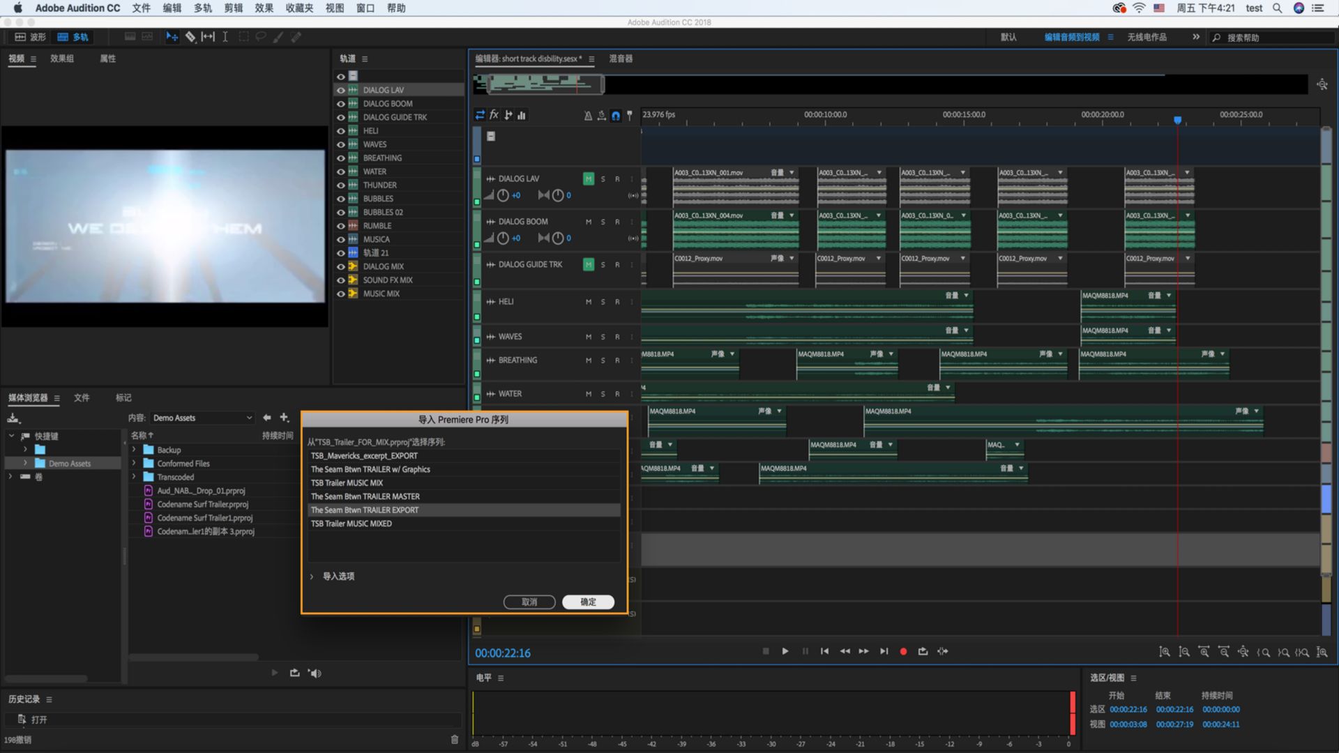 导入 Adobe Premiere Pro 序列