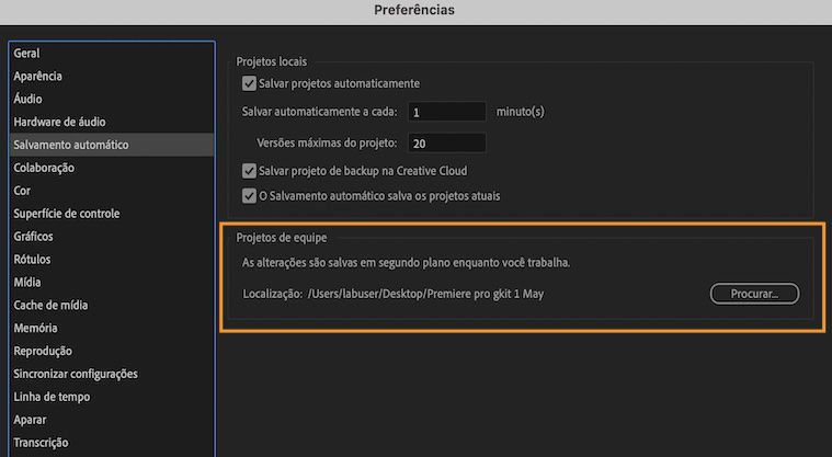 Interface que mostra as Preferências, onde é possível especificar um local no sistema onde o cache de salvamento automático dos projetos de equipe deverá ser salvo.