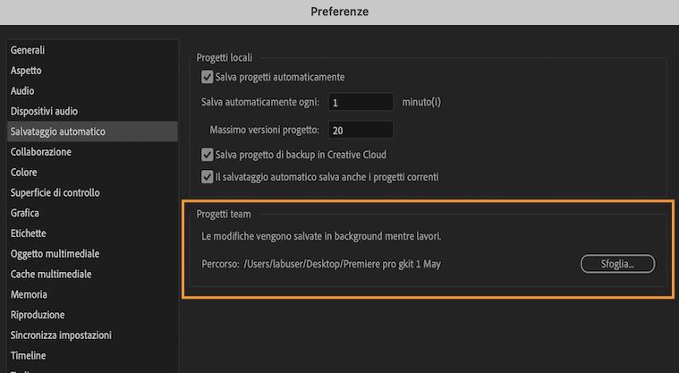 Interfaccia utente che mostra le Preferenze in cui specificare un percorso nel sistema locale in cui verrà salvata la cache di salvataggio automatico dei progetti team.