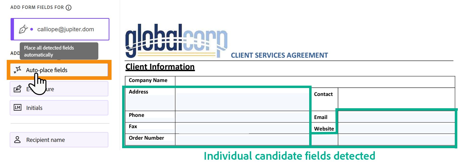 The authoring environment highlighting the AutoFill button and several candidate fields.