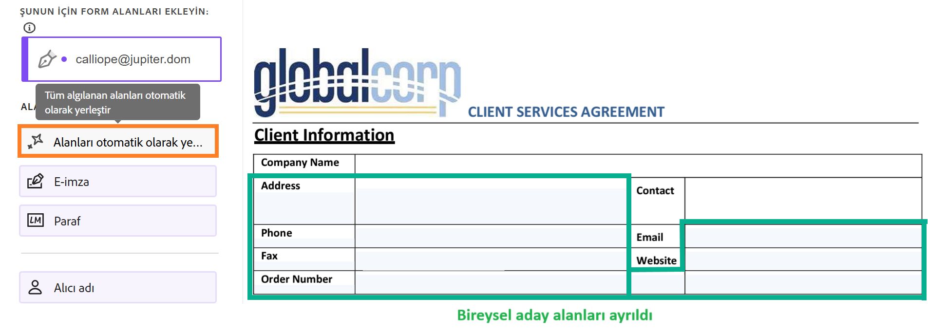 Otomatik Doldumaa düğmesini ve çeşitli aday alanlarını vurgulayan yazarlık ortamı.
