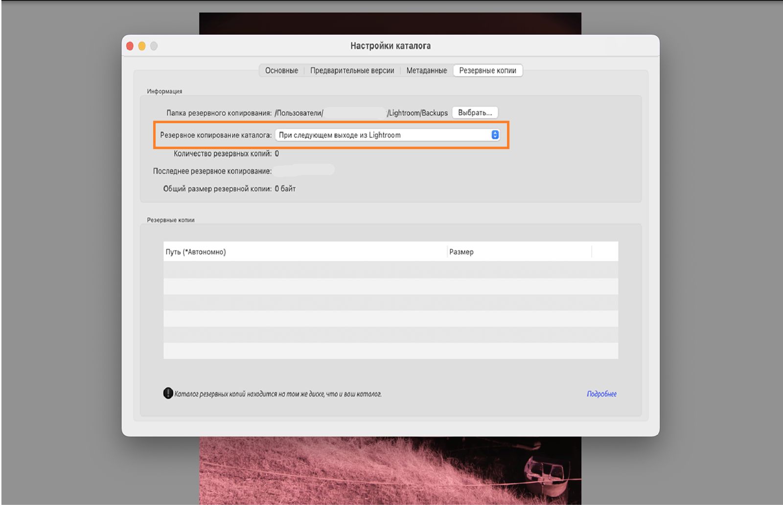 Резервное копирование каталога при следующем выходе из Lightroom