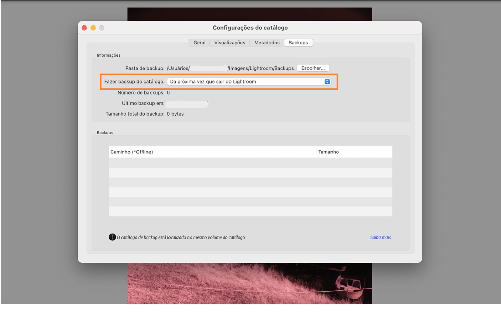 Fazer backup do catálogo da próxima vez que sair do Lightroom