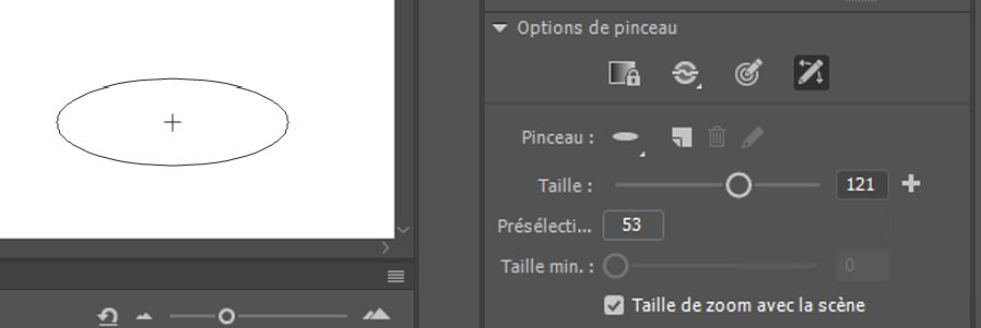 Curseur Taille du pinceau : aperçu en direct