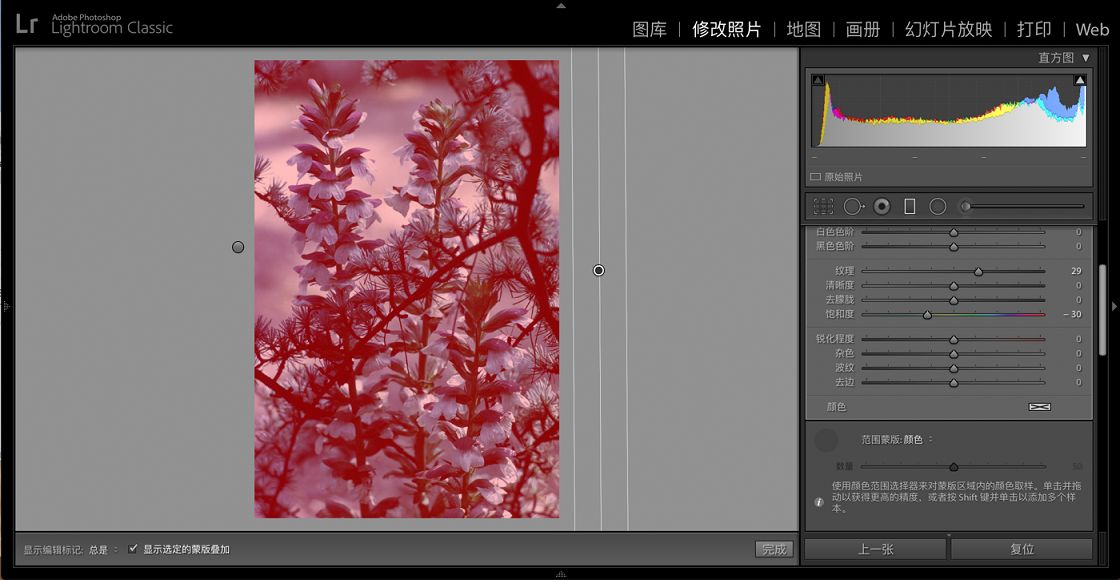 覆盖照片中背景色调的颜色范围蒙版。