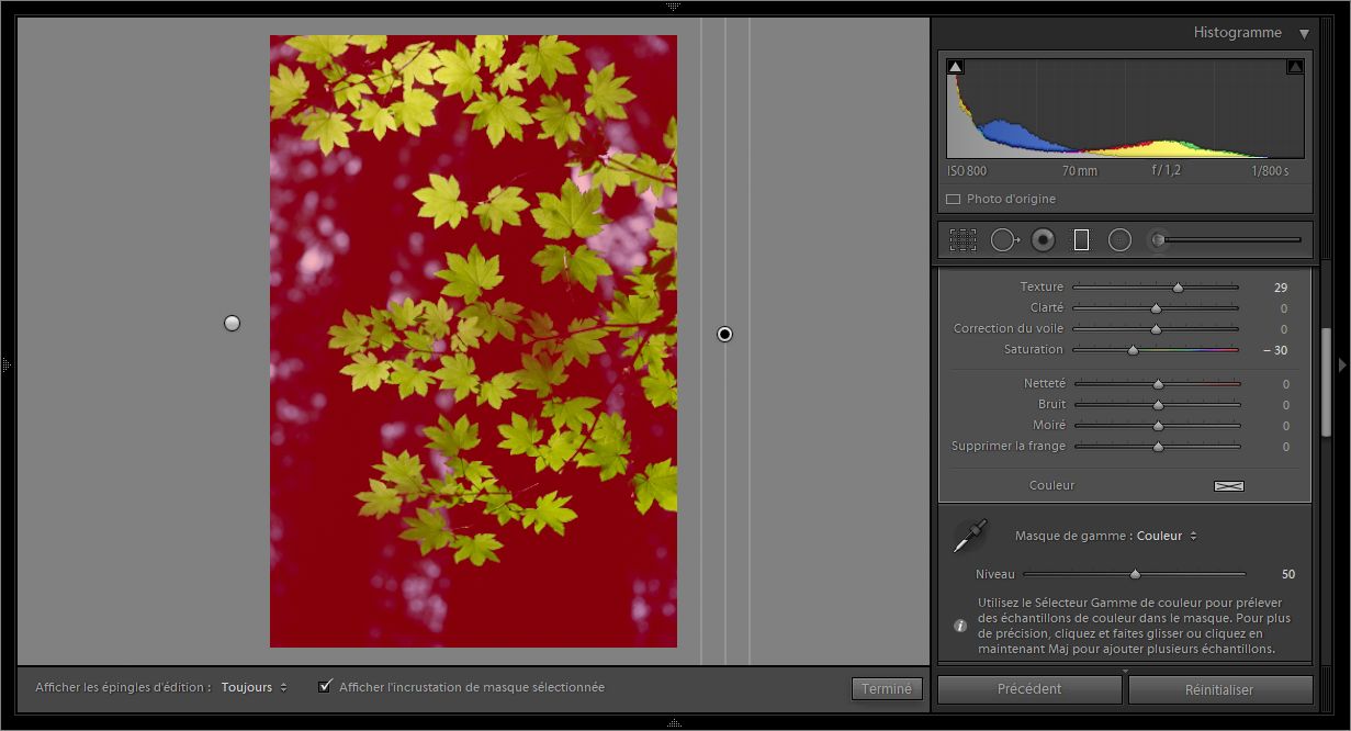 Un masque de gamme de couleur recouvrant les tonalités de fond dans la photo.