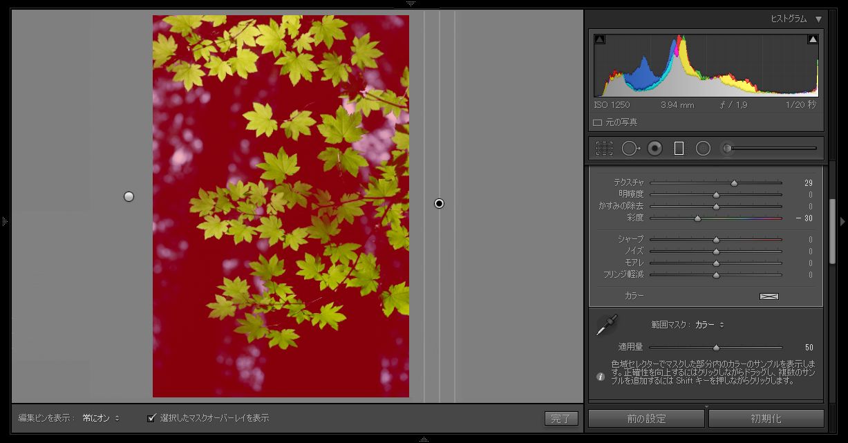 写真の背景色調をカバーするカラー範囲マスク。