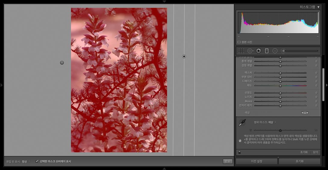 사진의 배경 톤을 덮는 색상 범위 마스크.