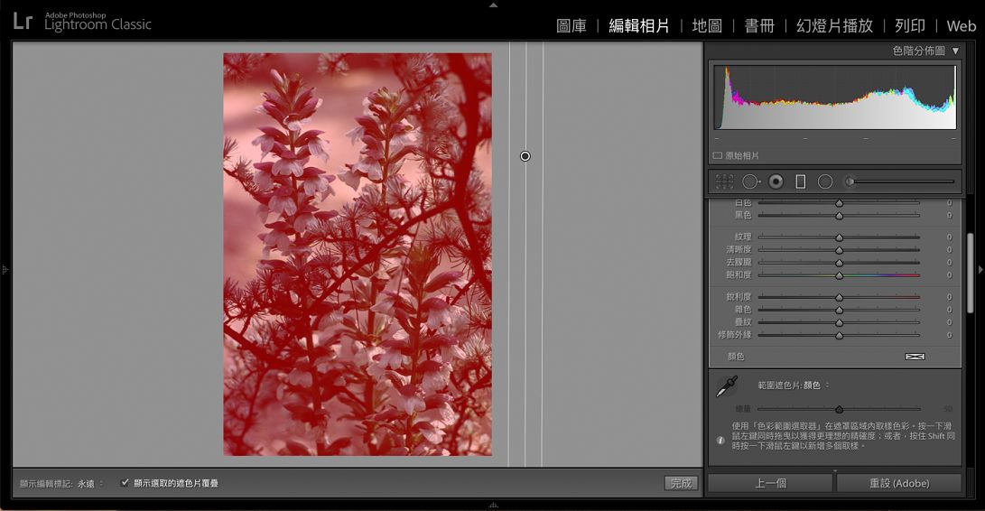 涵蓋相片背景色調的「色彩範圍遮色片」。