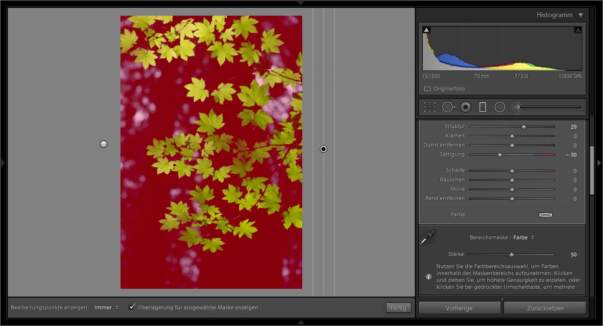 Eine Farbbereichsmaske, die die Hintergrund-Farbtöne im Foto abdeckt.