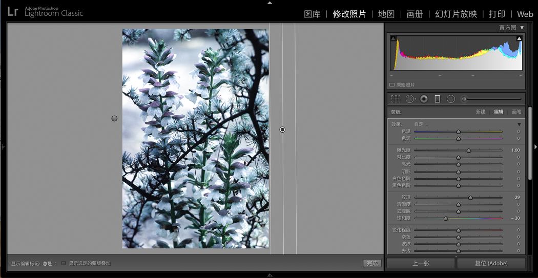 应用于颜色蒙版的局部调整。