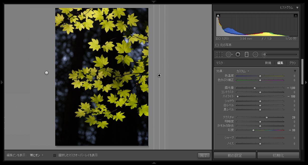 カラーマスクに適用された部分補正。
