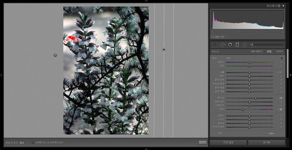 색상 마스크에 적용되는 로컬 조정.