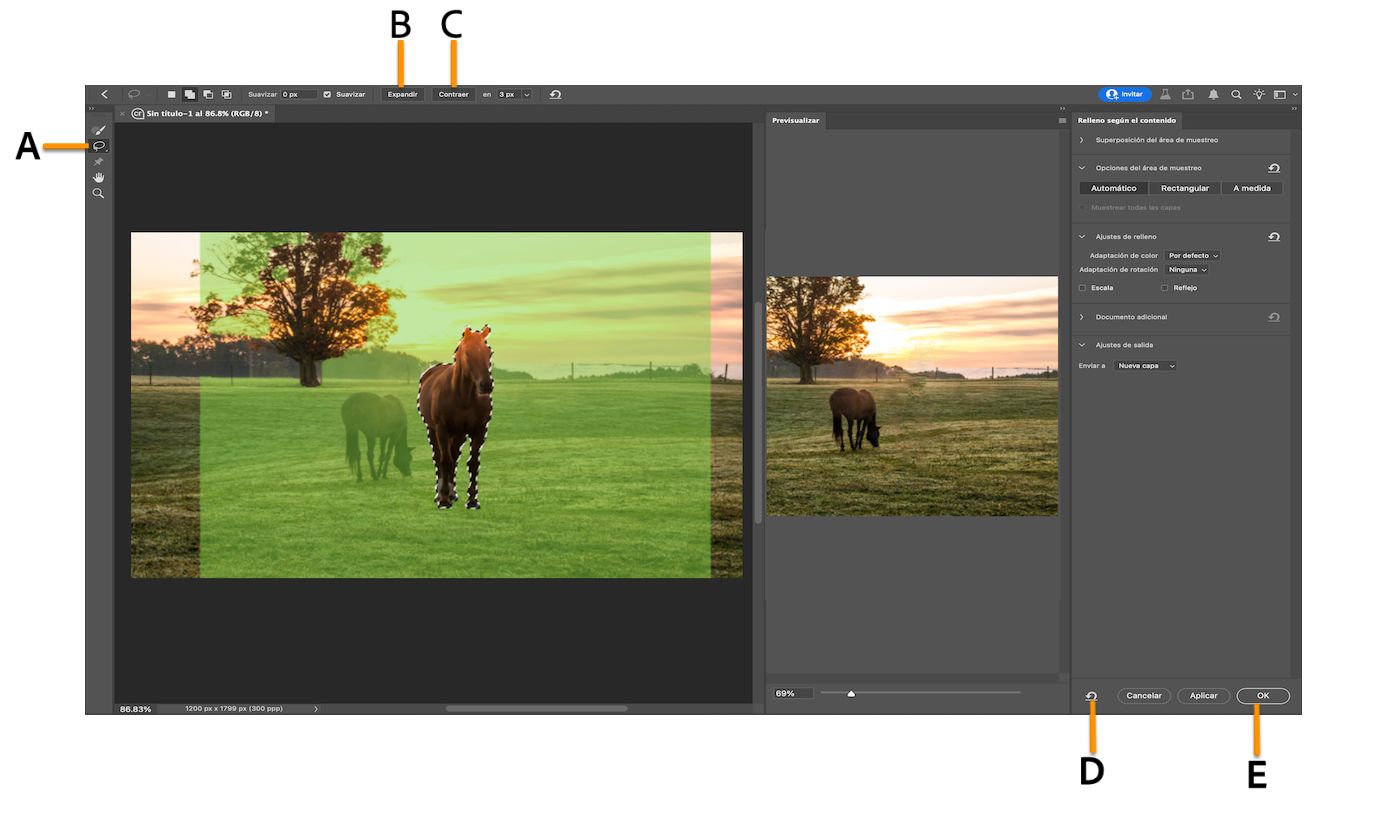 Captura de pantalla del espacio de trabajo de Photoshop de la configuración de Según el contenido.