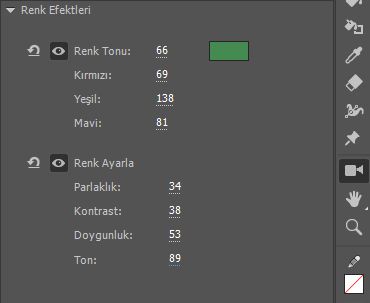 Kamera renk efektleri