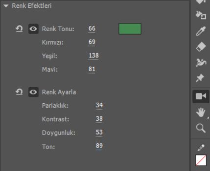 Kamera renk efektleri