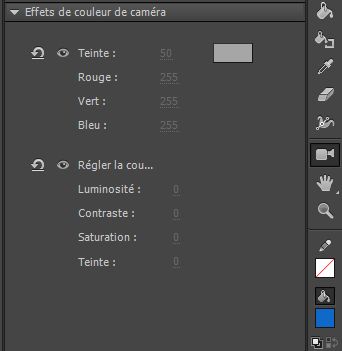Effets de couleur de caméra