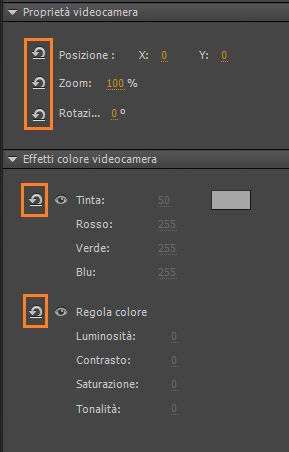 Proprietà videocamera