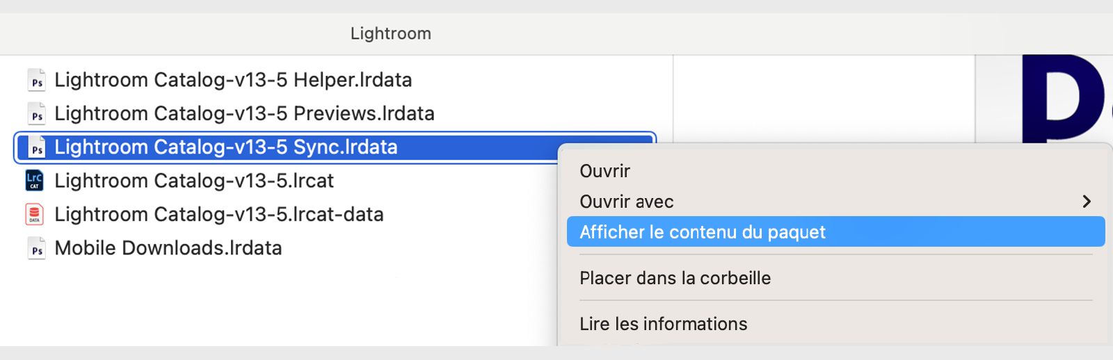 Capture d’écran d’un fichier nommé « Lightroom Catalog-v13-5.lrcat » avec menu déroulant ouvert