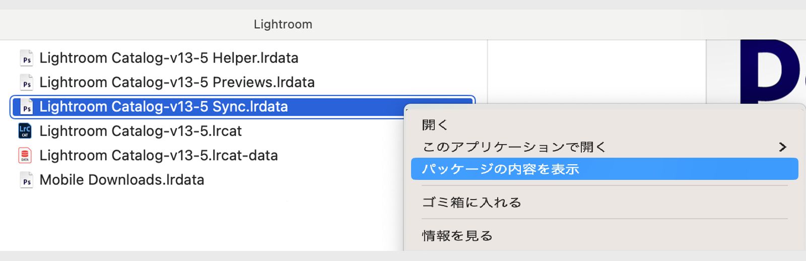 「Lightroom Catalog-v13-5.lrcat」という名前のファイルとドロップダウンメニューが開いたスクリーンショット