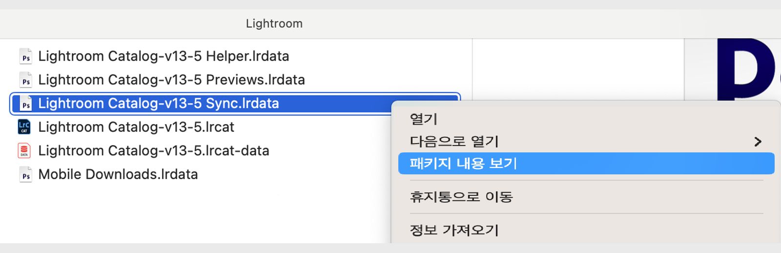 드롭다운 메뉴가 열려 있는 ‘Lightroom Catalog-v13-5.lrcat’라는 이름의 파일 스크린샷