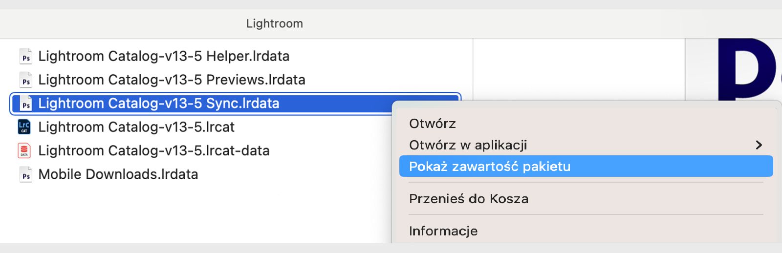 Zrzut ekranu pliku o nazwie „Lightroom Catalog-v13-5.lrcat” z otwartym menu rozwijanym