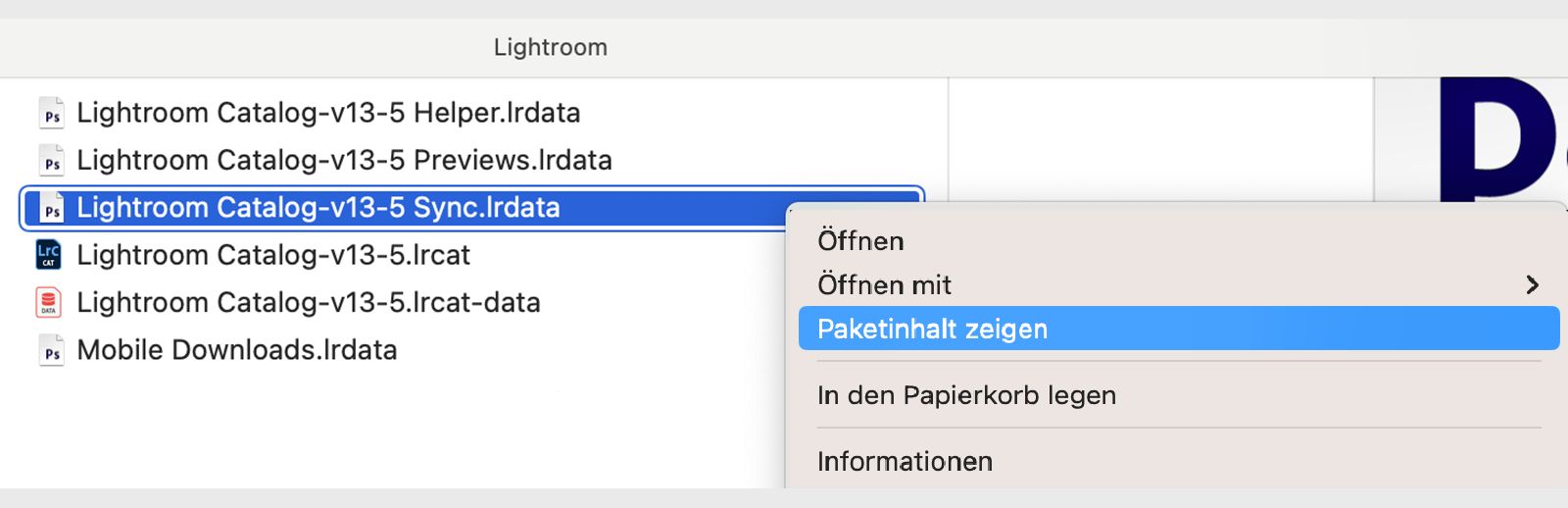 Screenshot der Datei „Lightroom Catalog-v13-5.lrcat&quot; mit geöffnetem Dropdown-Menü