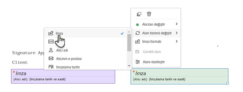 Alan türlerini değiştirme