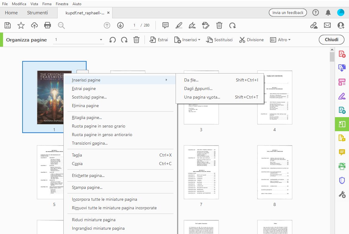 Opzione Inserisci da file nella barra degli strumenti Organizza pagine