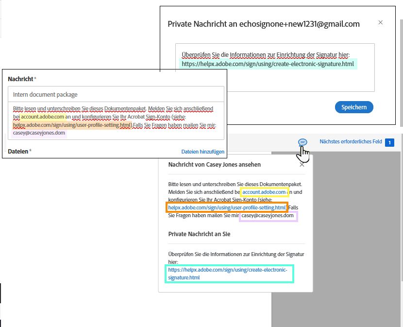 Konfigurierte Nachrichtenfelder auf der E-Sign-Seite