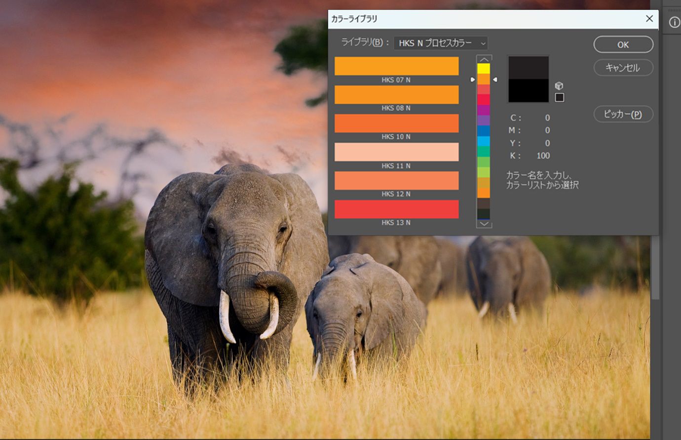 「HKS N プロセス」カラースウォッチが選択されたブックドロップダウンメニューと、スポットカラーを選択するためのカラー選択インターフェイスを備えた、カラーライブラリダイアログボックスが表示されています。