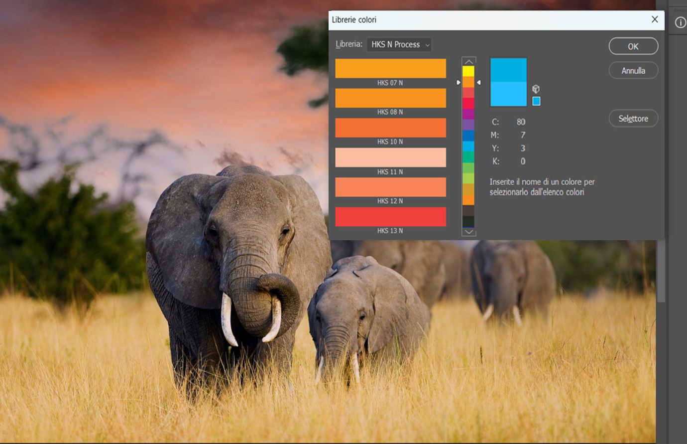 Finestra di dialogo Color Libraries che mostra i Campioni di colore HKS N Process con menu a discesa Book e interfaccia di selezione del colore per la scelta dei colori spot.
