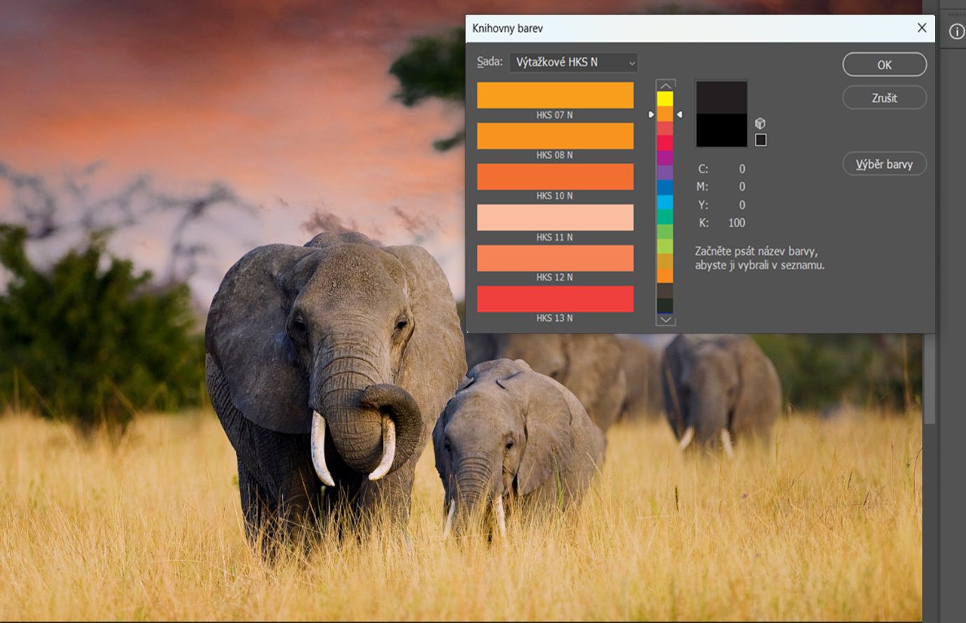 Dialogové okno Knihovny barev zobrazující Vzorky barev HKS N Process s rozbalovací nabídkou Kniha a rozhraním pro výběr barev pro volbu přímých barev.
