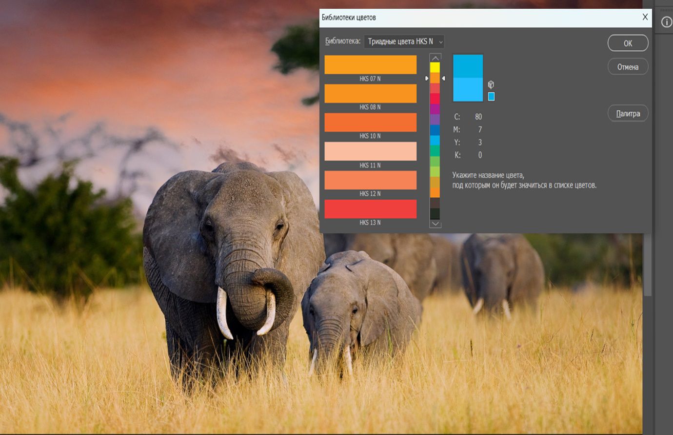 Диалоговое окно «Библиотеки цветов», в котором отображаются образцы триадных цветов HKS N, с раскрывающимся меню «Библиотека» и интерфейсом выбора цвета для выбора плашечных цветов.