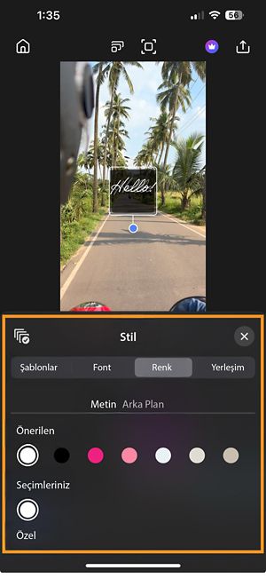 Renk ayarları, Önerilen, Seçimleriniz ve Özel giriş seçenekleriyle Metin ve Arka Plan olmak üzere iki sekme olarak açılır.