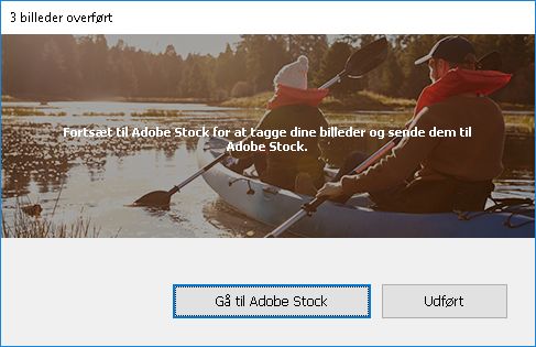 Dialogboksen Billeder overført