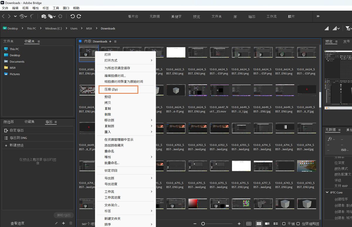 在 Adobe Bridge 中轻松压缩 (Zip) 文件。