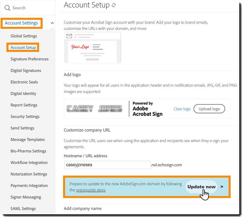 La página Configuración de la cuenta resalta el botón «Actualizar ahora» para la actualización del dominio.